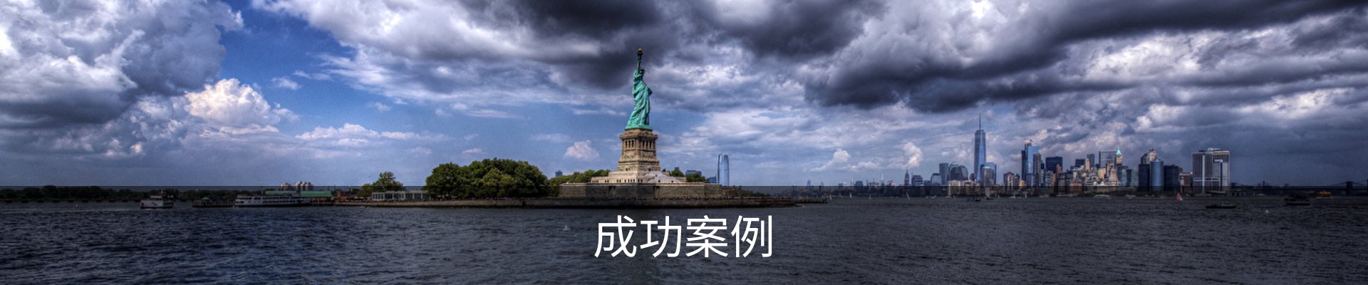 成功案例