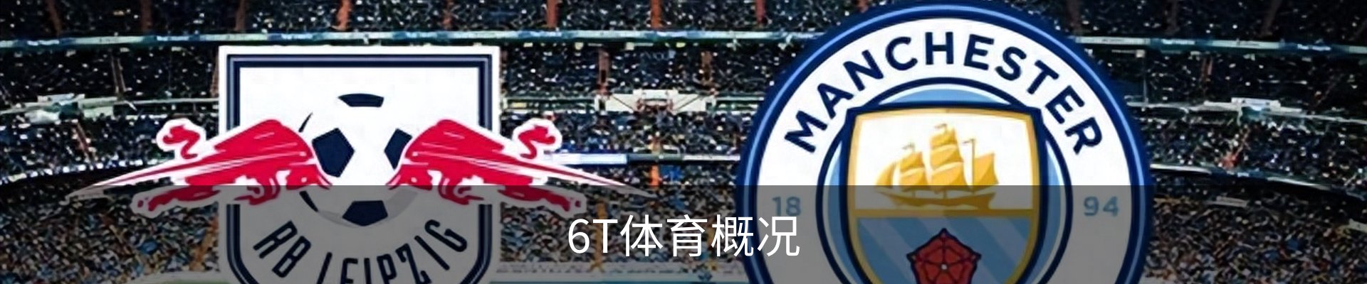6T体育概况